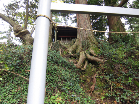 20191031hike (37)